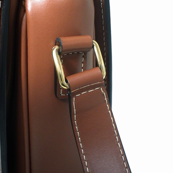 Celine Classic Triomphe Bag Canvas Tan - Picture 8 of 16